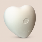 Amora
