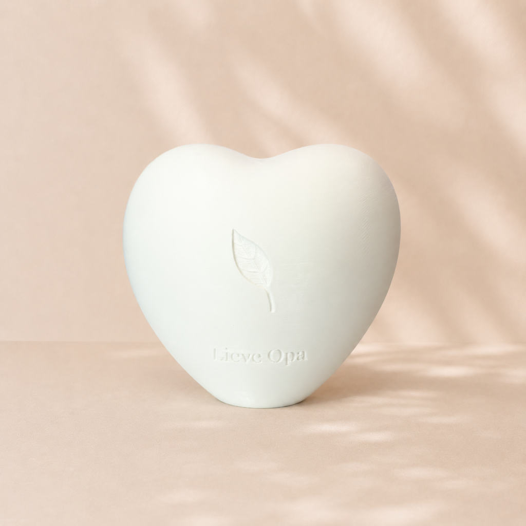 Amora Mini